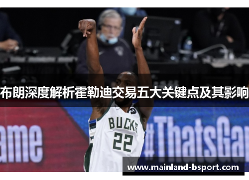 布朗深度解析霍勒迪交易五大关键点及其影响